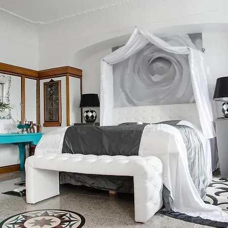 Vera فيلة ويتير